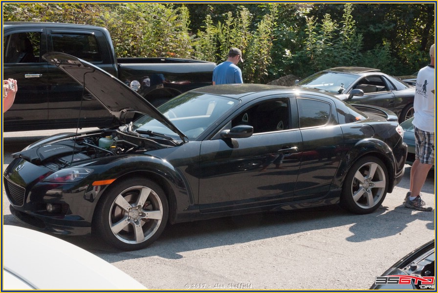 DSC_9178.jpg