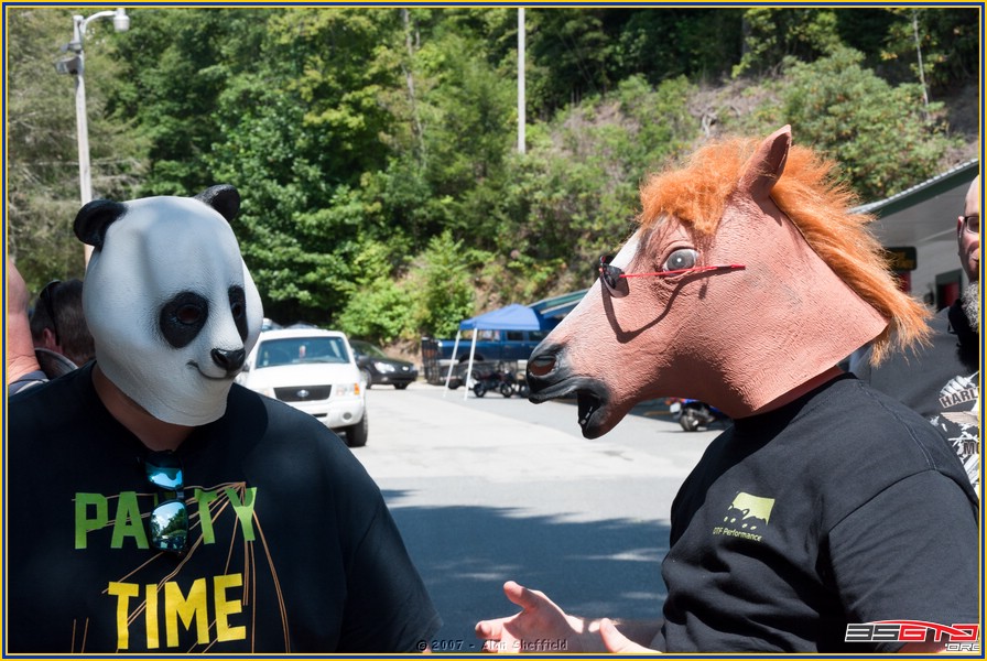 DSC_9231.jpg