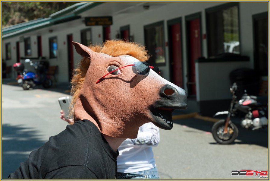 DSC_9233.jpg
