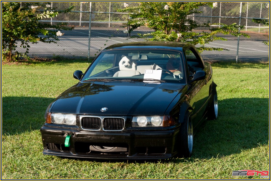 DSC_9281.jpg