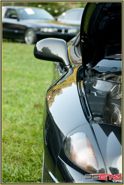 DSC_9345.jpg