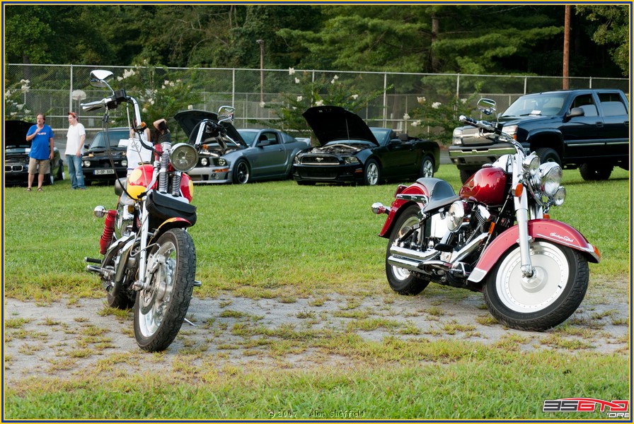 DSC_9367.jpg