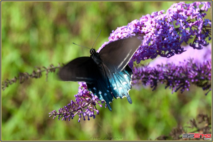 DSC_9441.jpg
