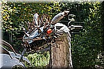 DSC_9194.jpg