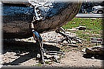 DSC_9196.jpg