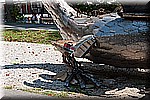 DSC_9197.jpg