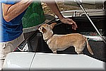DSC_9211.jpg