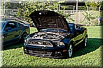 DSC_9279.jpg