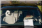DSC_9282.jpg