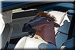 DSC_9283.jpg