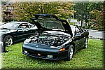 DSC_9330.jpg