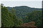 DSC_9371.jpg