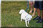DSC_9378.jpg
