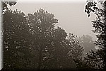 DSC_9426.jpg