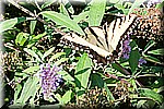 DSC_9449.jpg